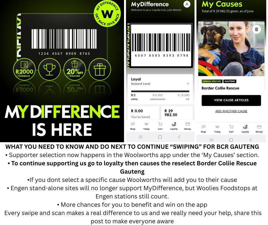 Myschool Becomes Woolworths My Difference